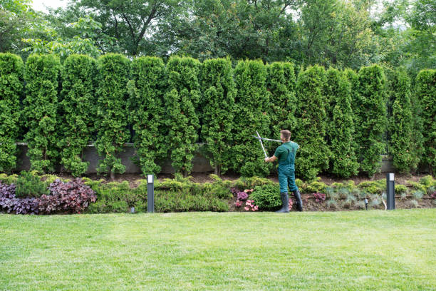 Best Lawn Watering Services  in North Middletown, NJ