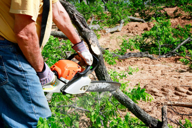 Best Hazardous Tree Removal  in North Middletown, NJ